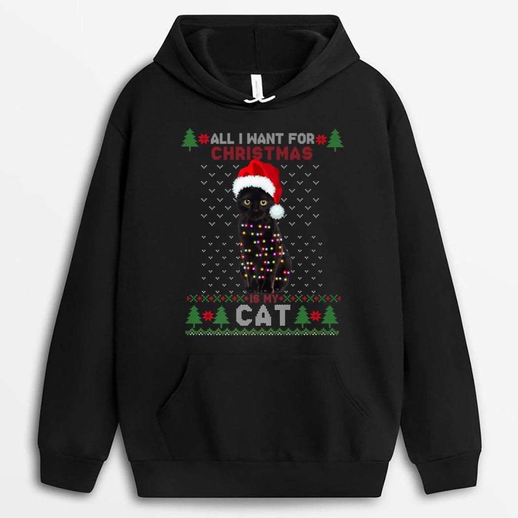 Funny Cat lovers Cute Cat Santa Hat Ugly Christmas Sweater Premium T-Shirt