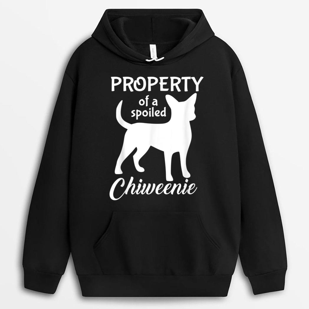 Funny Chiweenie Mom Dad Cute And Funny Property Dog Owner T-Shirt