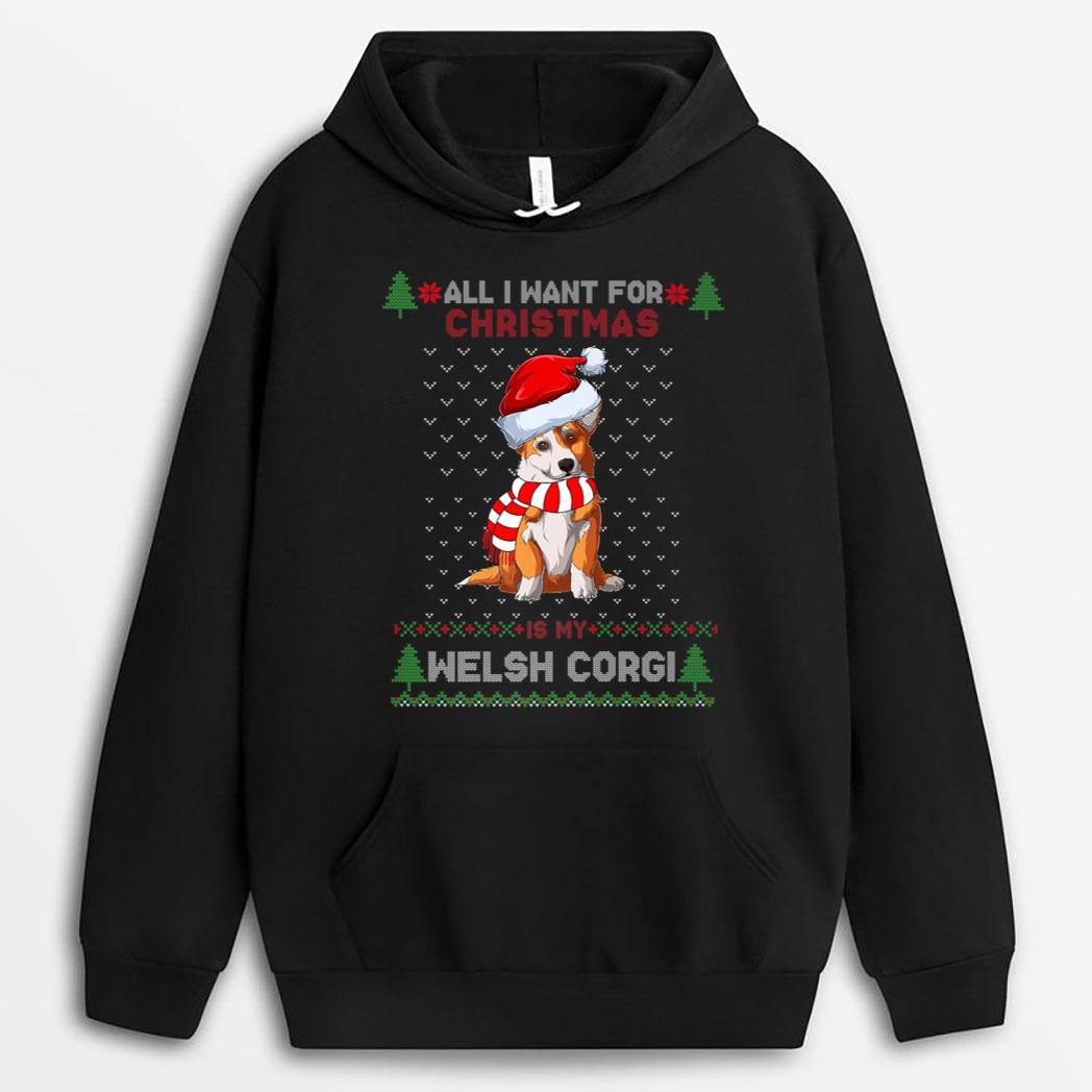 Funny Dog Cute Welsh Corgi Santa Hat Christmas T-Shirt